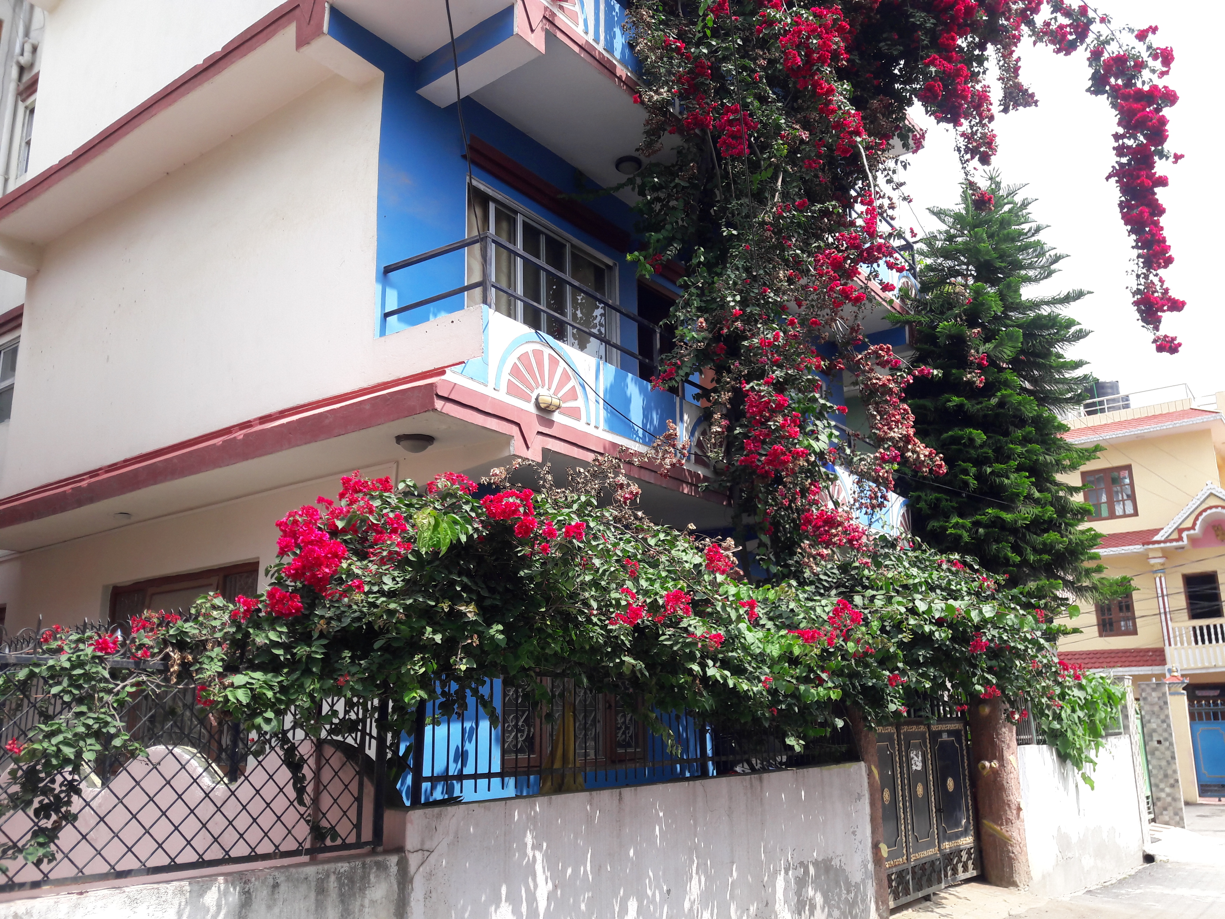 Picture of Mahalaxmi Municipality, Bagmati